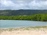 Punta Ballena - GUÁNICA